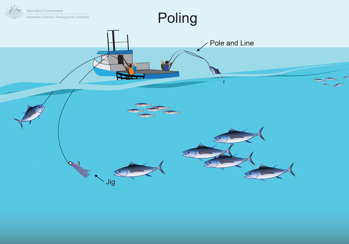 Fishing Methods - EuroPacific Tuna