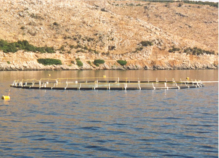Tuna Farming - Tuna Pen in Evia, Greece