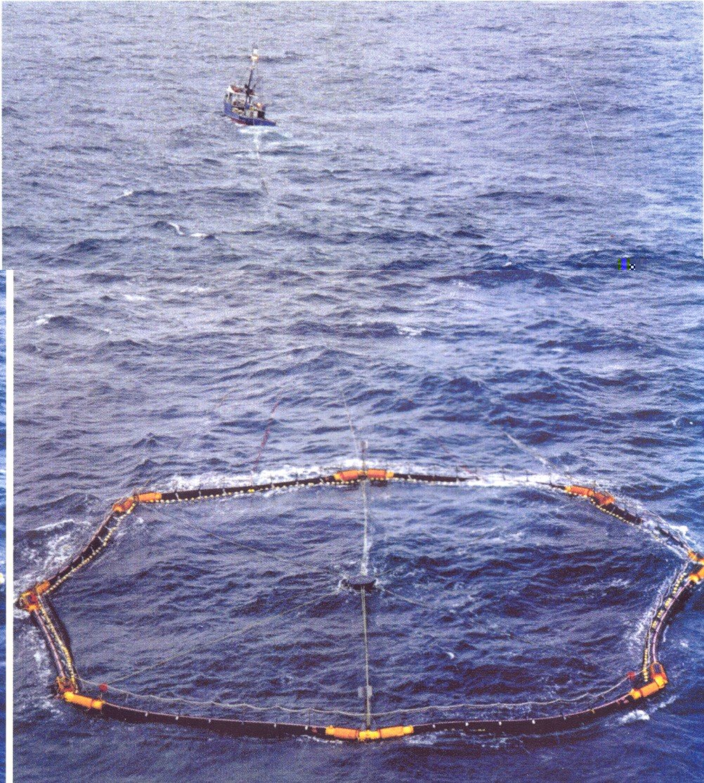 Tuna Farming - Tuna Towing Cage
